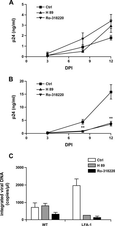 FIG. 6.