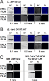 FIG 1