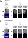 FIG 4