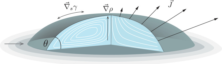 graphic file with name d2sm00931e-ga.jpg