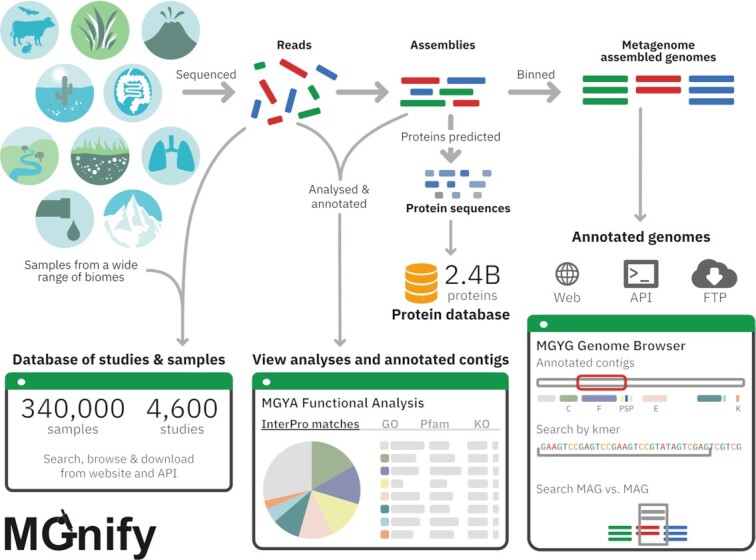 Graphical Abstract