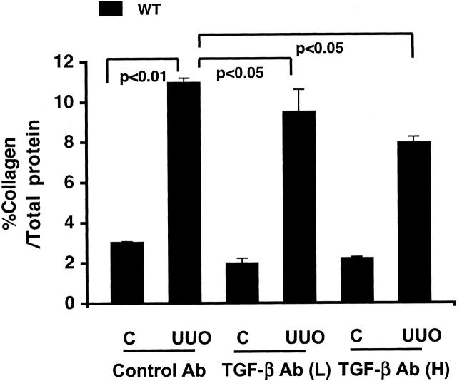 Figure 10.