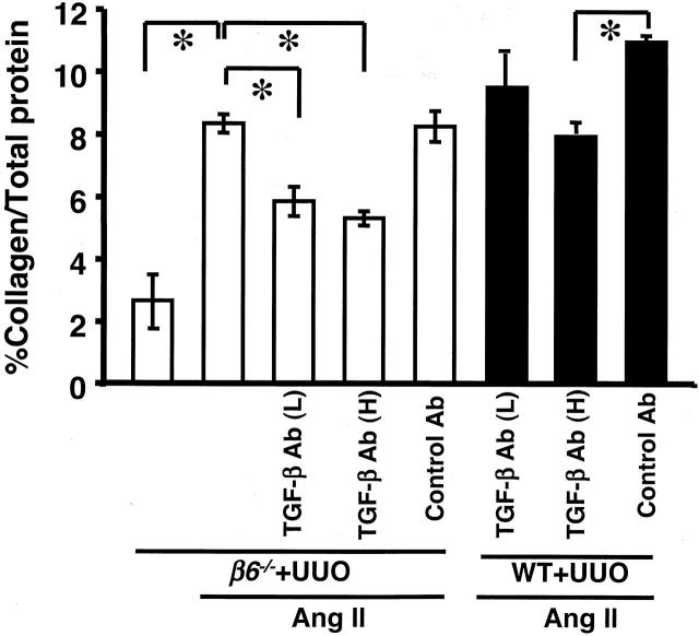 Figure 11.