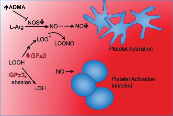 FIGURE 11