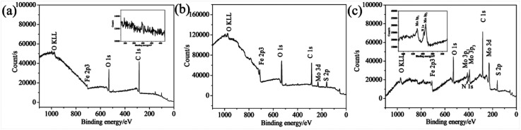 Fig. 10