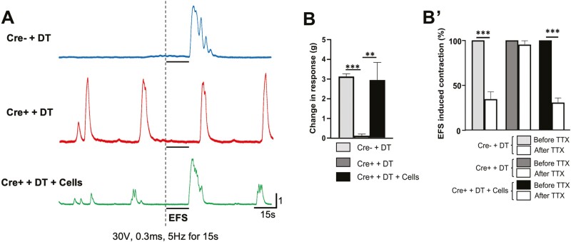 Figure 6.