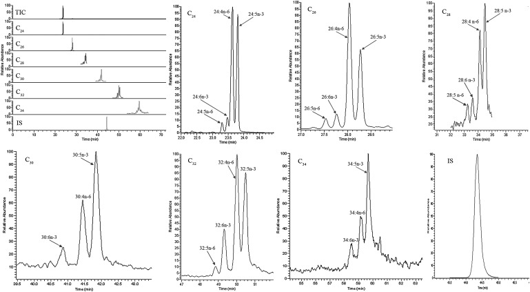 Fig. 3.