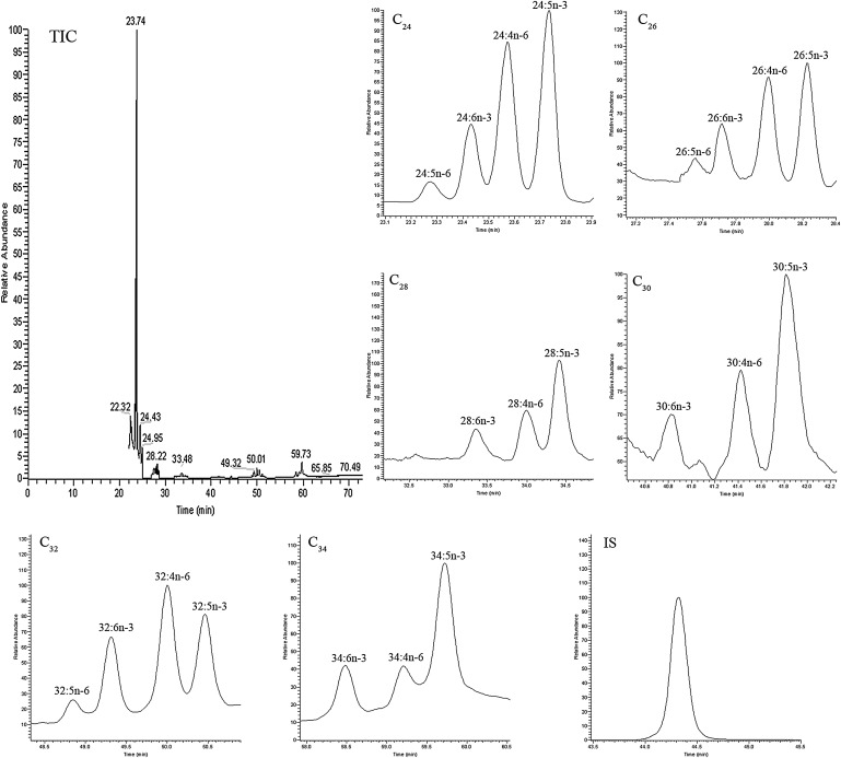 Fig. 2.