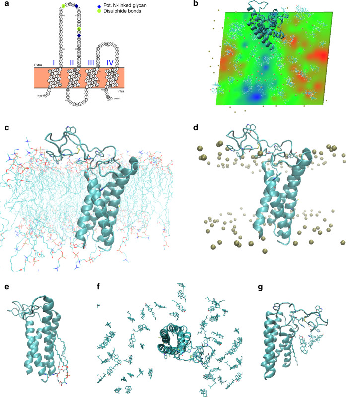 Fig. 4