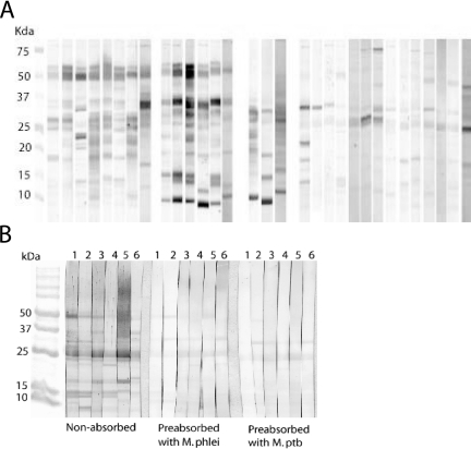 FIG. 7.