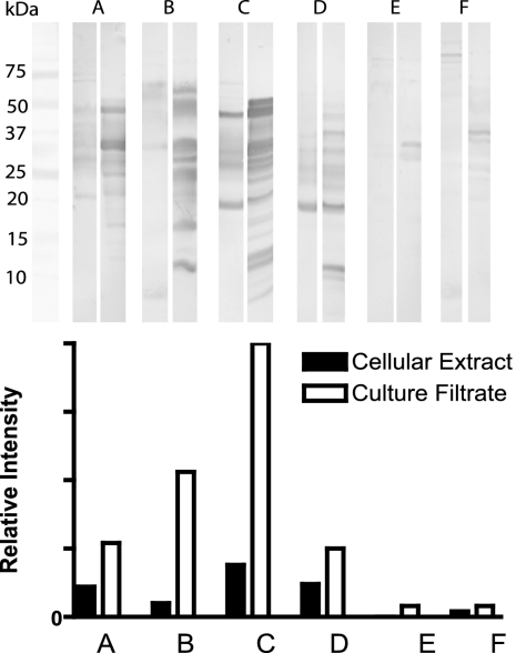 FIG. 5.