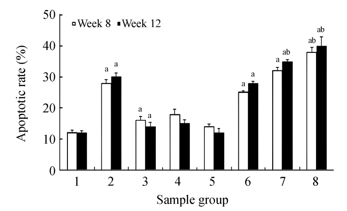 Fig. 9