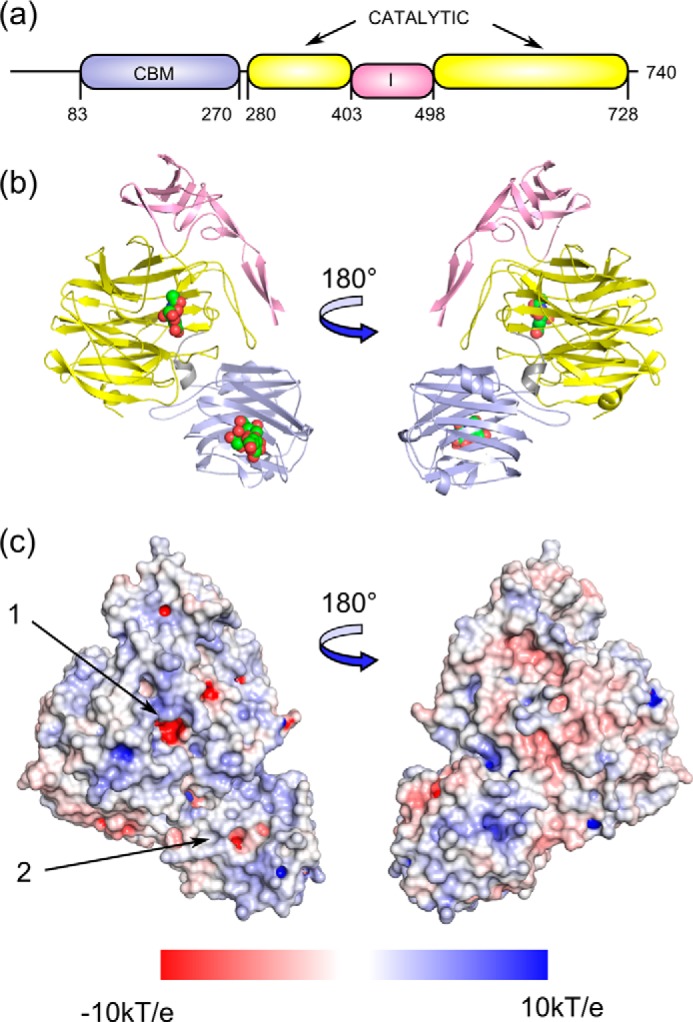 FIGURE 1.