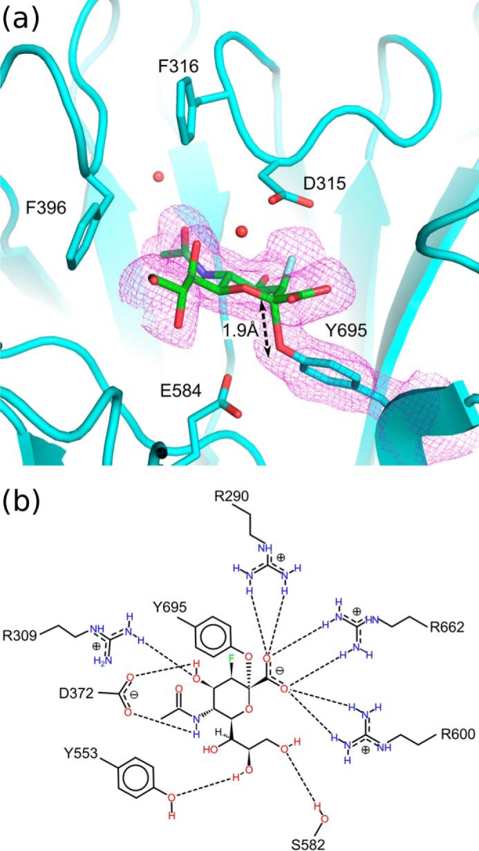 FIGURE 5.