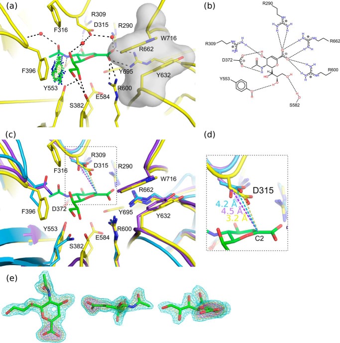 FIGURE 4.