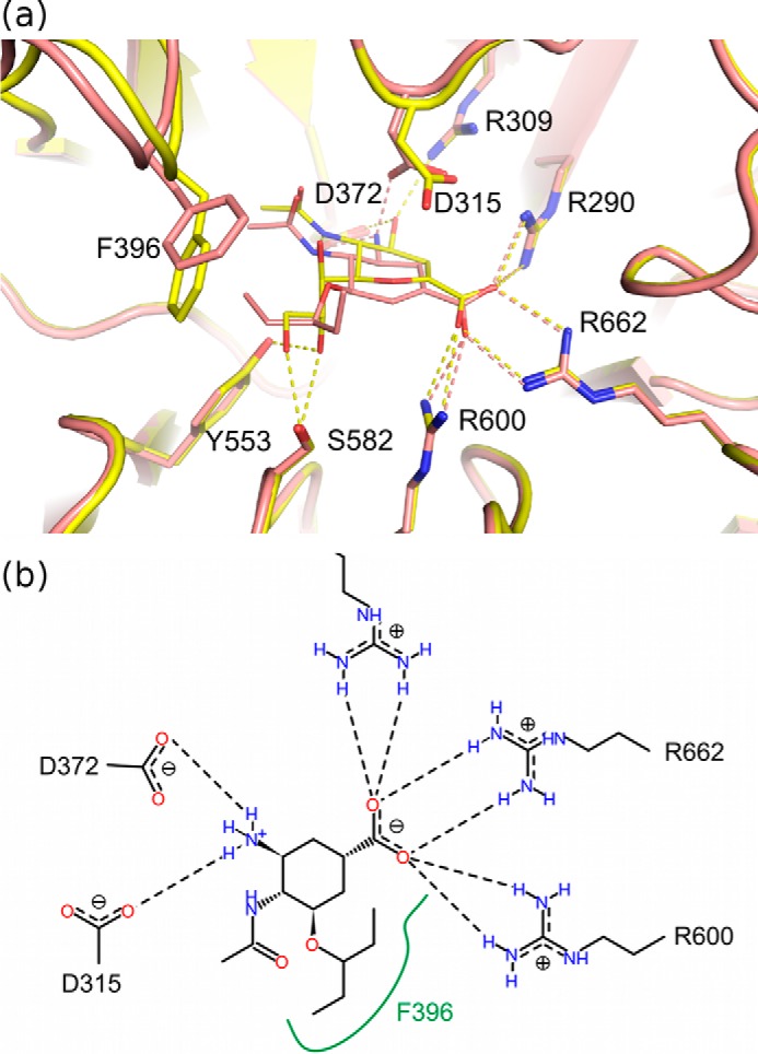 FIGURE 7.