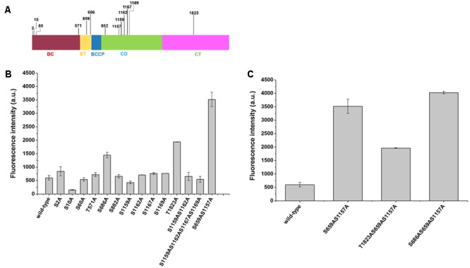 FIGURE 3