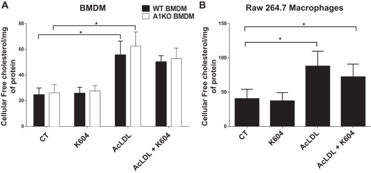 Fig. 10.