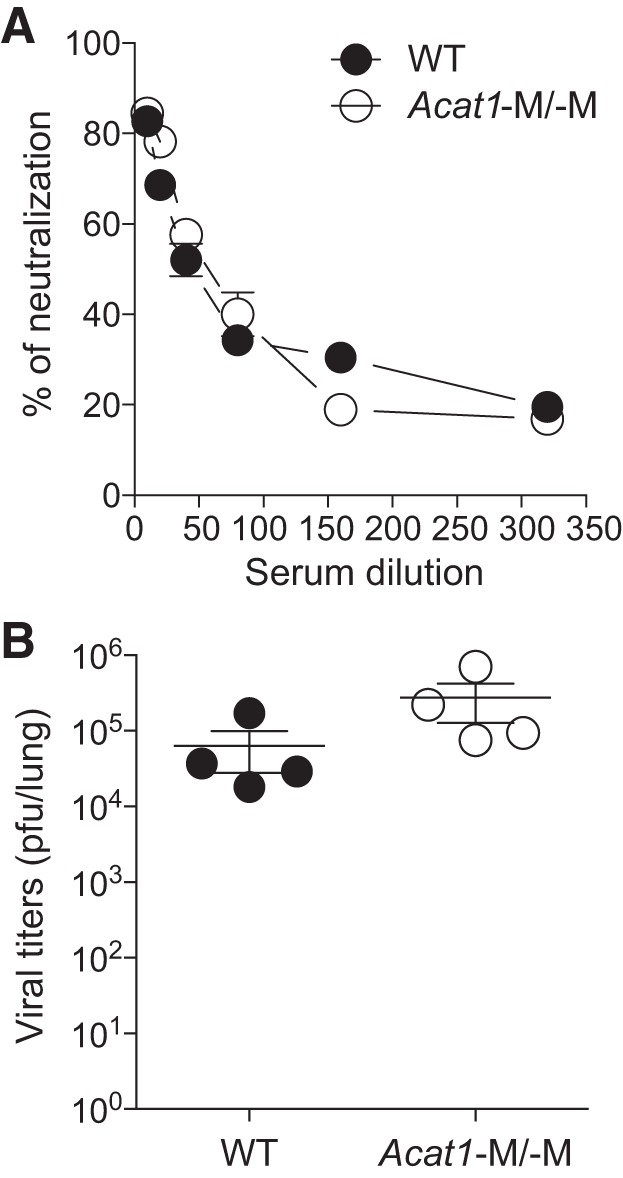 Fig. 11.