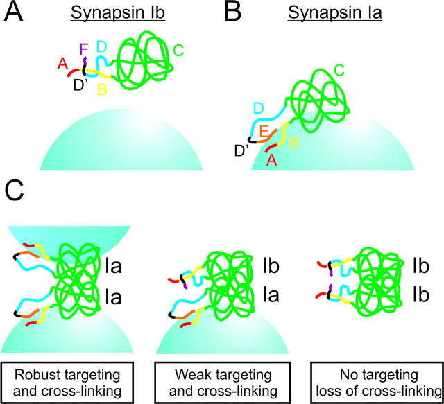 
Figure 10.
