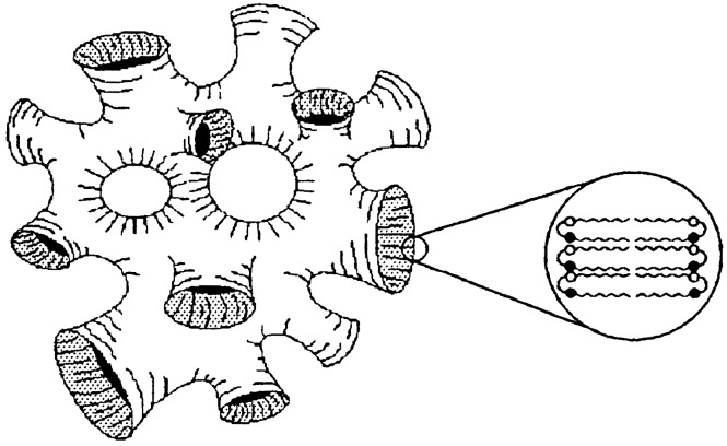 Scheme 3