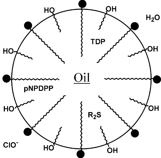 Scheme 6