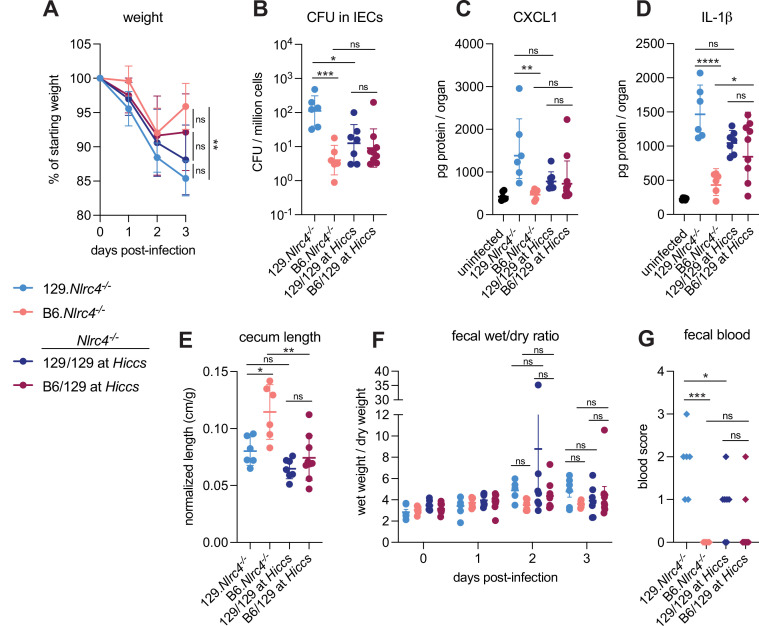 Figure 1—figure supplement 2.