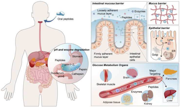 Figure 3