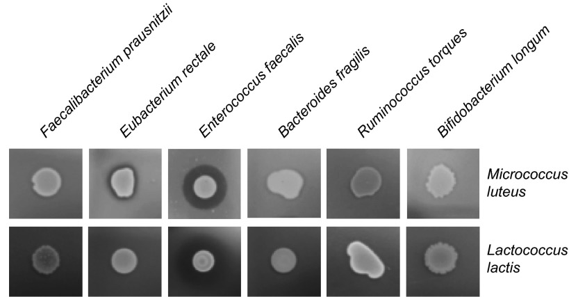 Fig. S5.