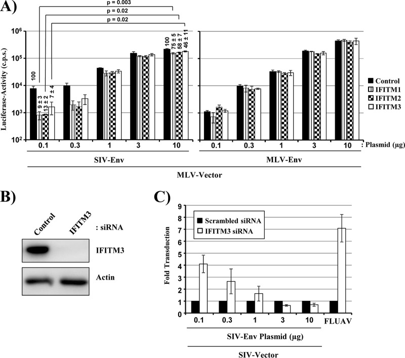 FIG 2