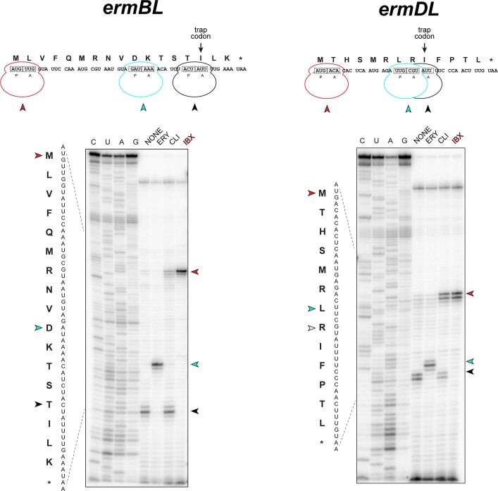 Extended Data Fig. 6