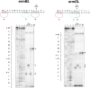 Extended Data Fig. 6