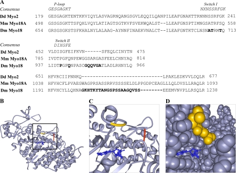 FIGURE 10.