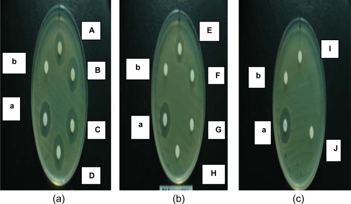 Figure 1: