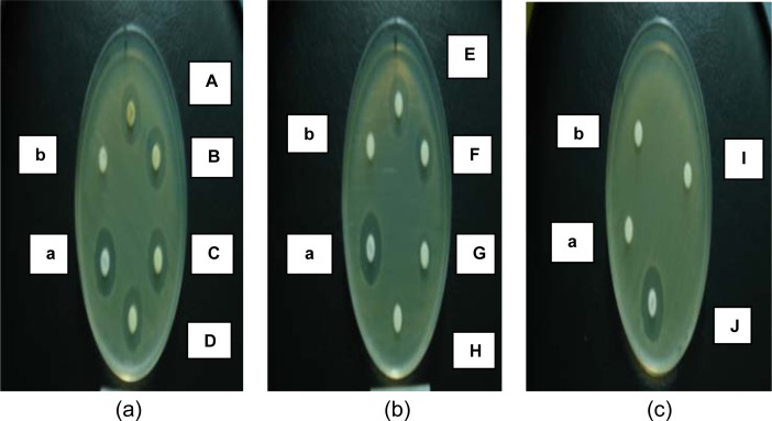 Figure 2: