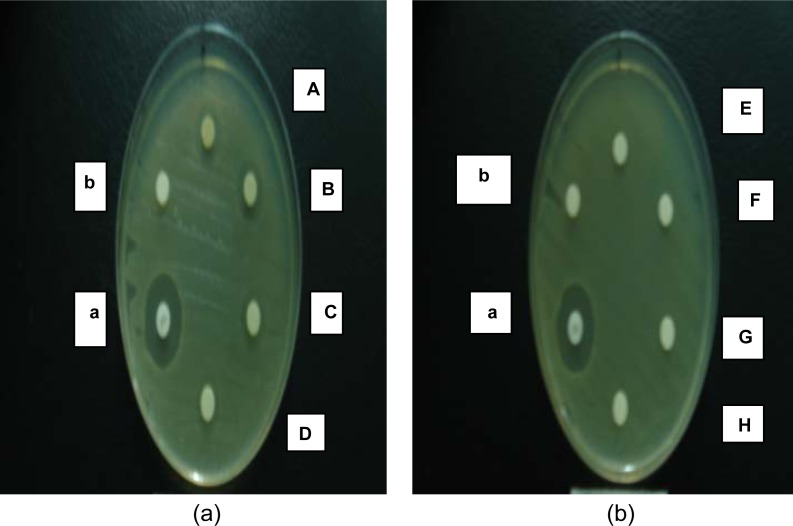 Figure 3: