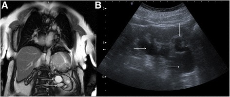 Fig. 16