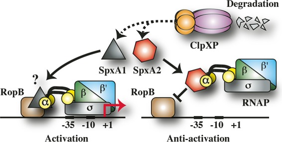 FIG 7 