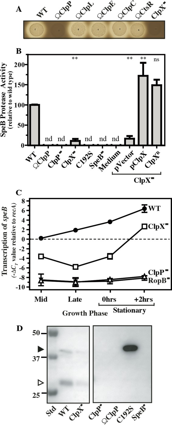 FIG 1 