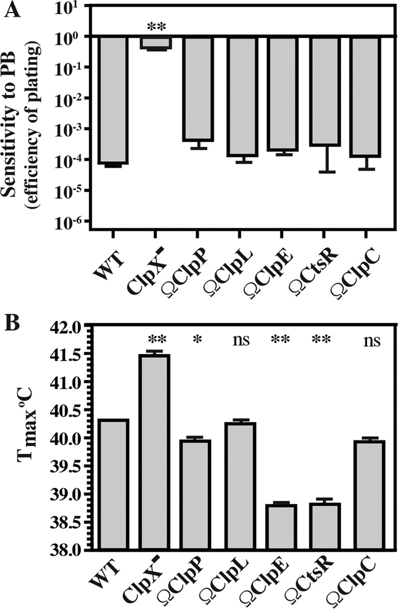 FIG 3 