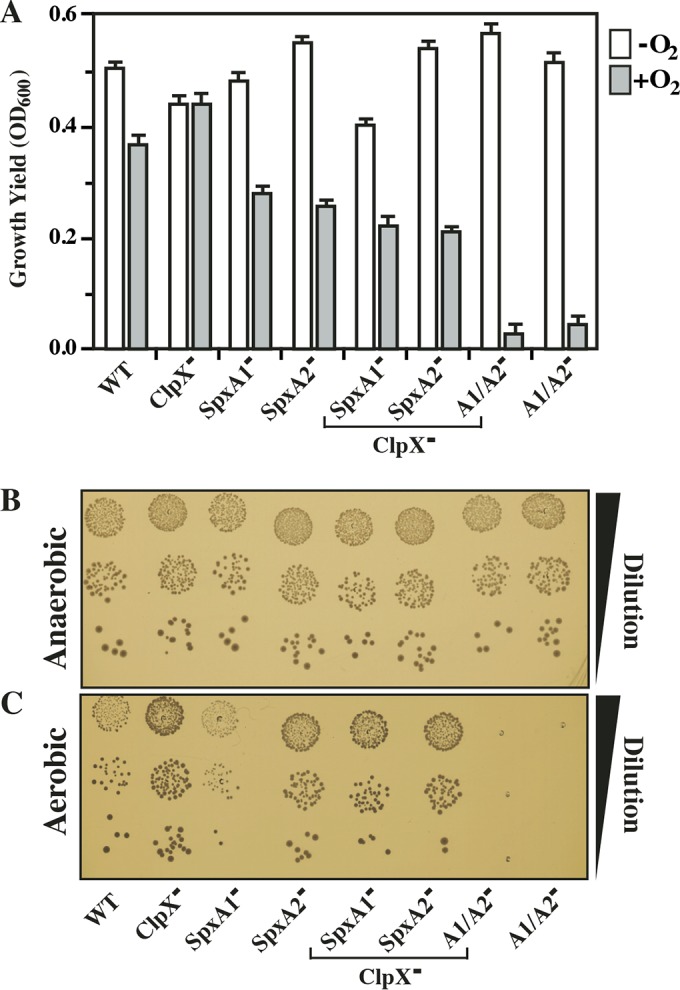 FIG 5 