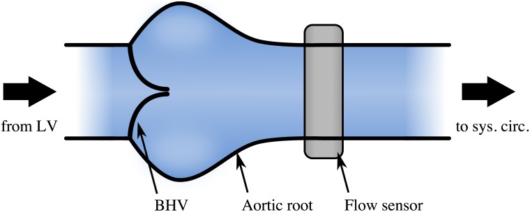 Fig 5