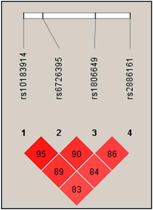 Figure 1: