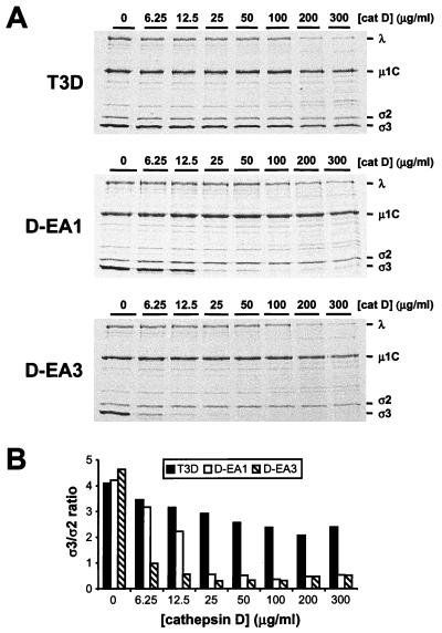 FIG. 5