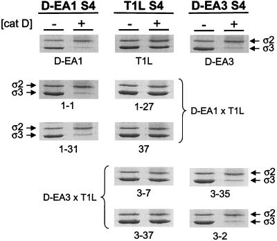 FIG. 6