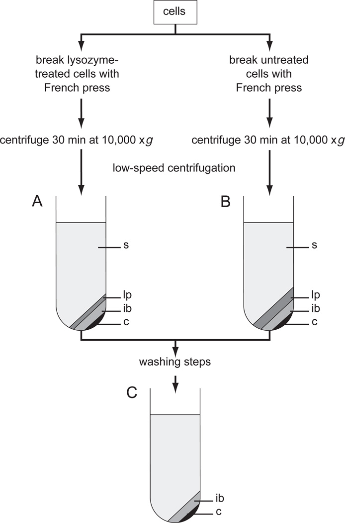 Figure 6.1.5