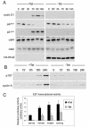 FIG. 4.