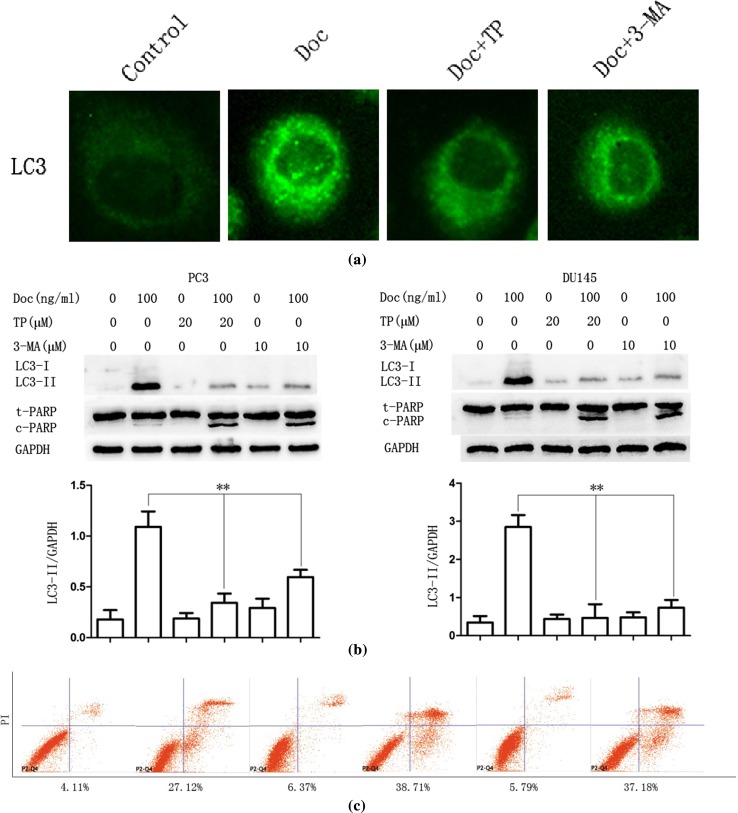 Fig. 3