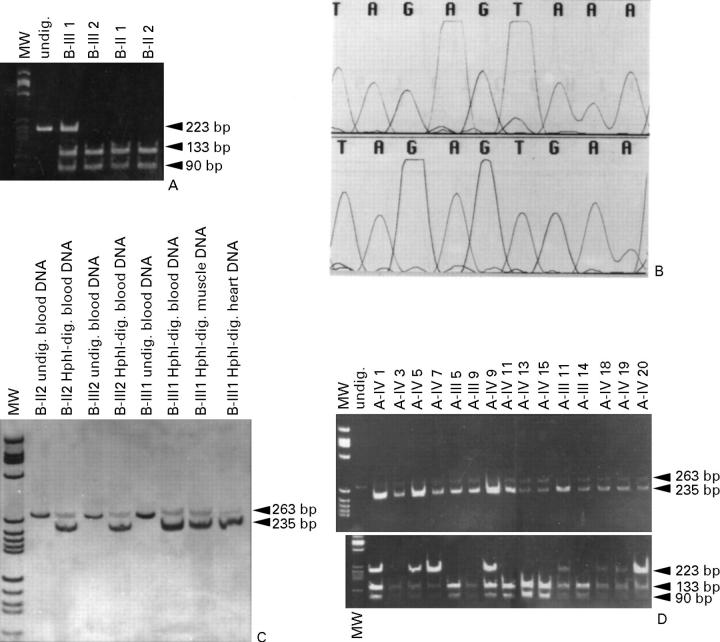 Figure 2  