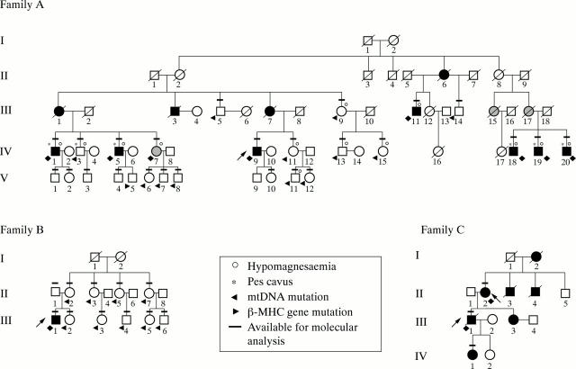 Figure 1  